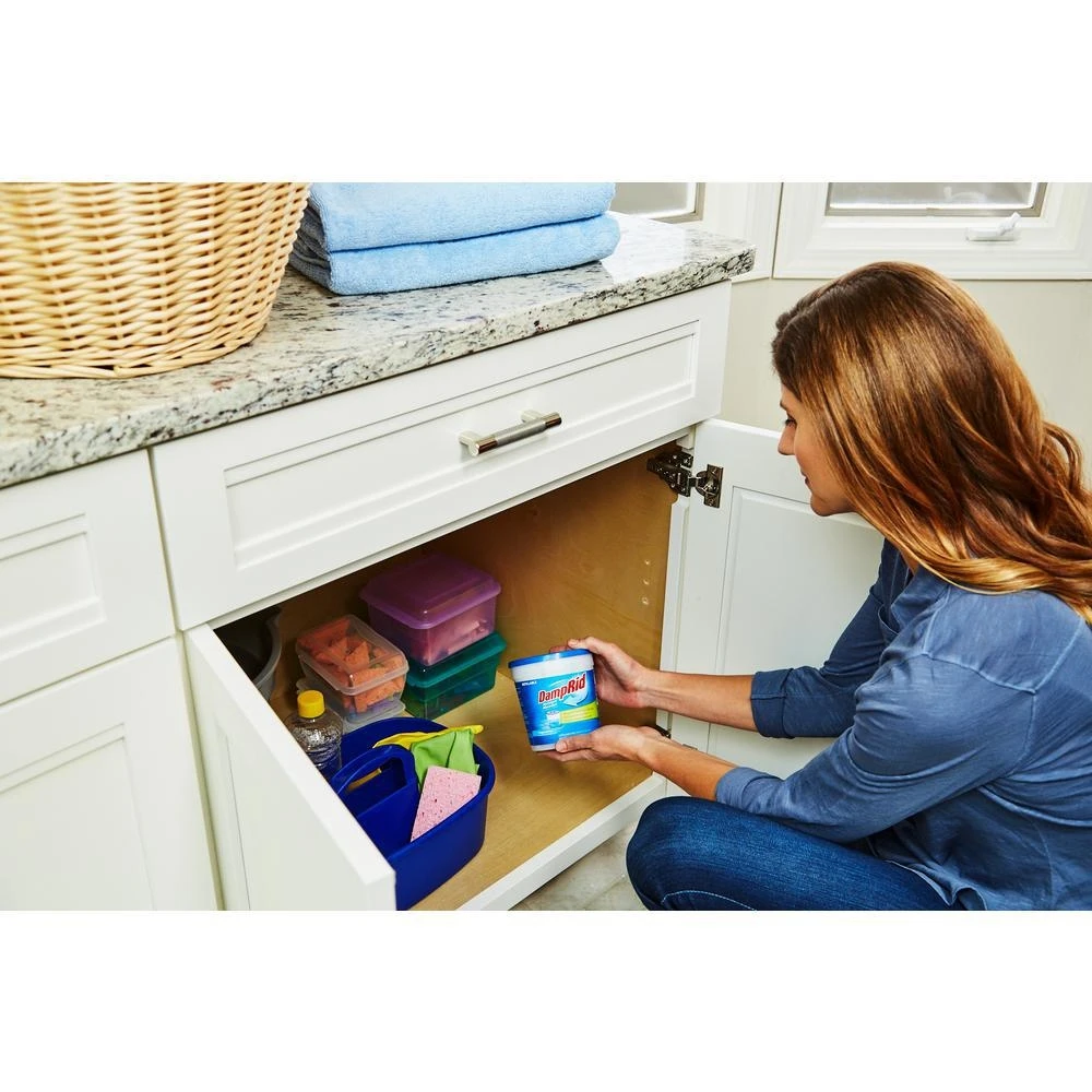 Damp Rid Refillable Moisture Absorbers - Image 6