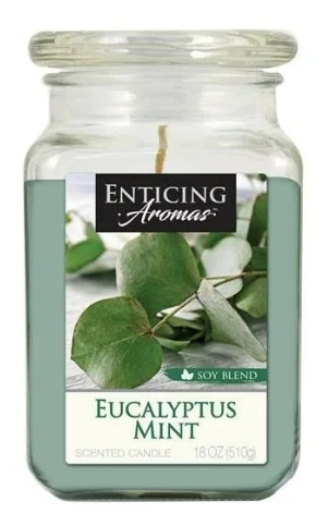 Empire Candles Enticing Aromas Collection, 16oz - Image 3