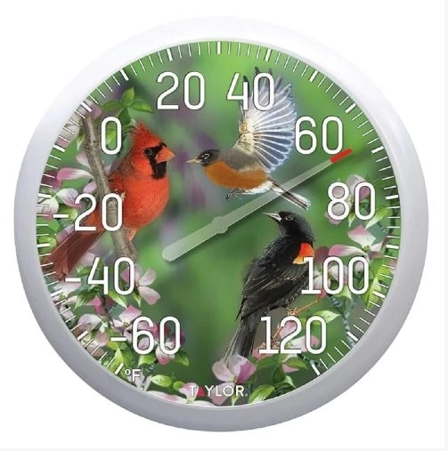 Taylor 13.25" Thermometer - Image 2